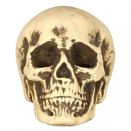 Calavera 22 Cms Foam