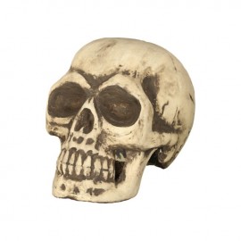 Calavera 32 Cms Foam