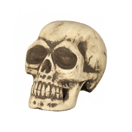 Calavera 32 Cms Foam