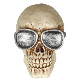 Calavera Con Gafas Resina 11 Cms