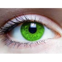 Lentillas Verdes