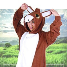 Kigurumi Burro