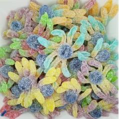 Pulpos Chuches