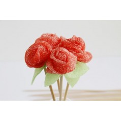 Rosa de Chuches